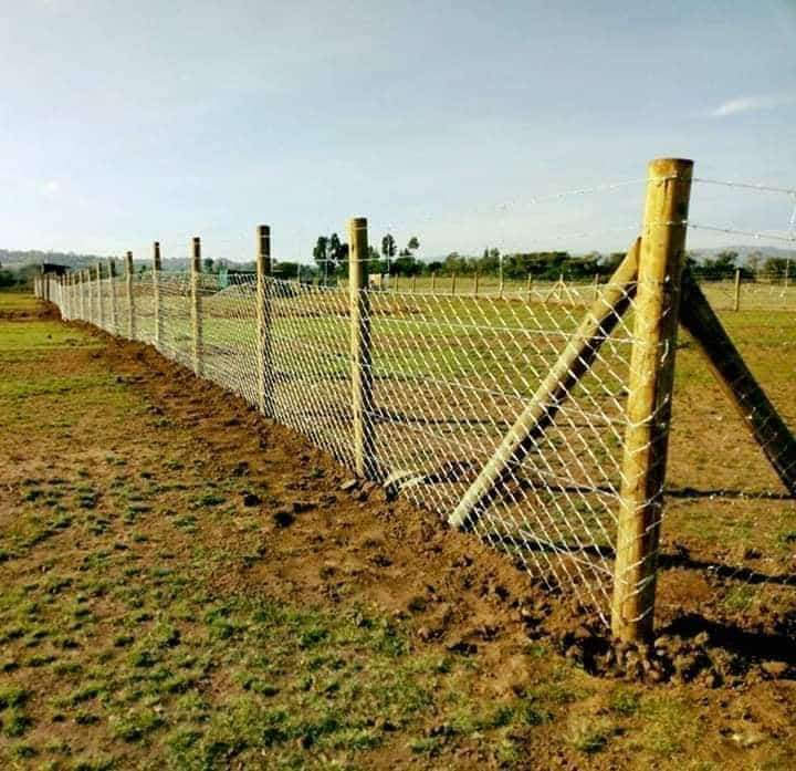 Electric Fence Security
