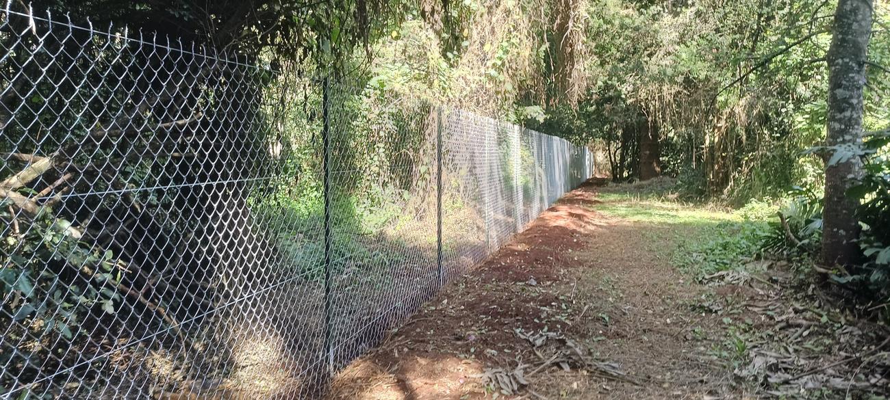 New galvanised chain link fence on steel posts with tensioning wires along a wooded boundary