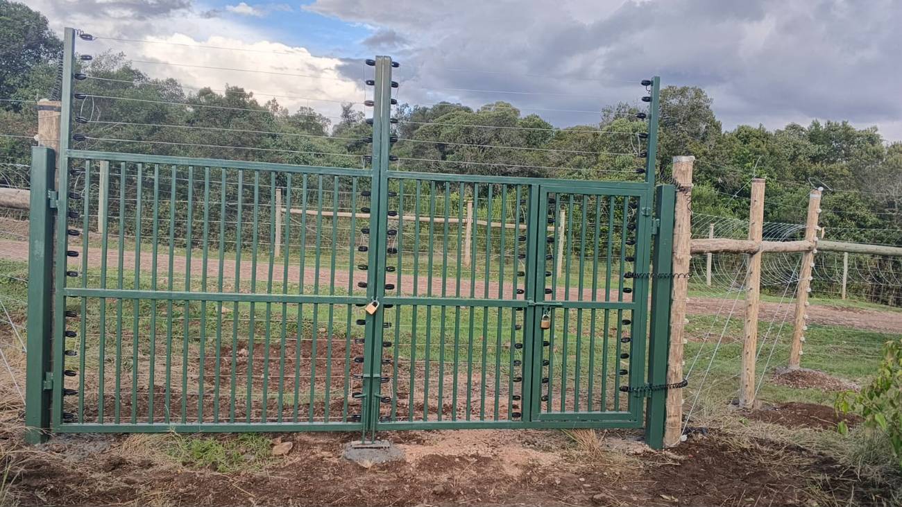 Green double swing gate with pedestrian door and electric fence strands