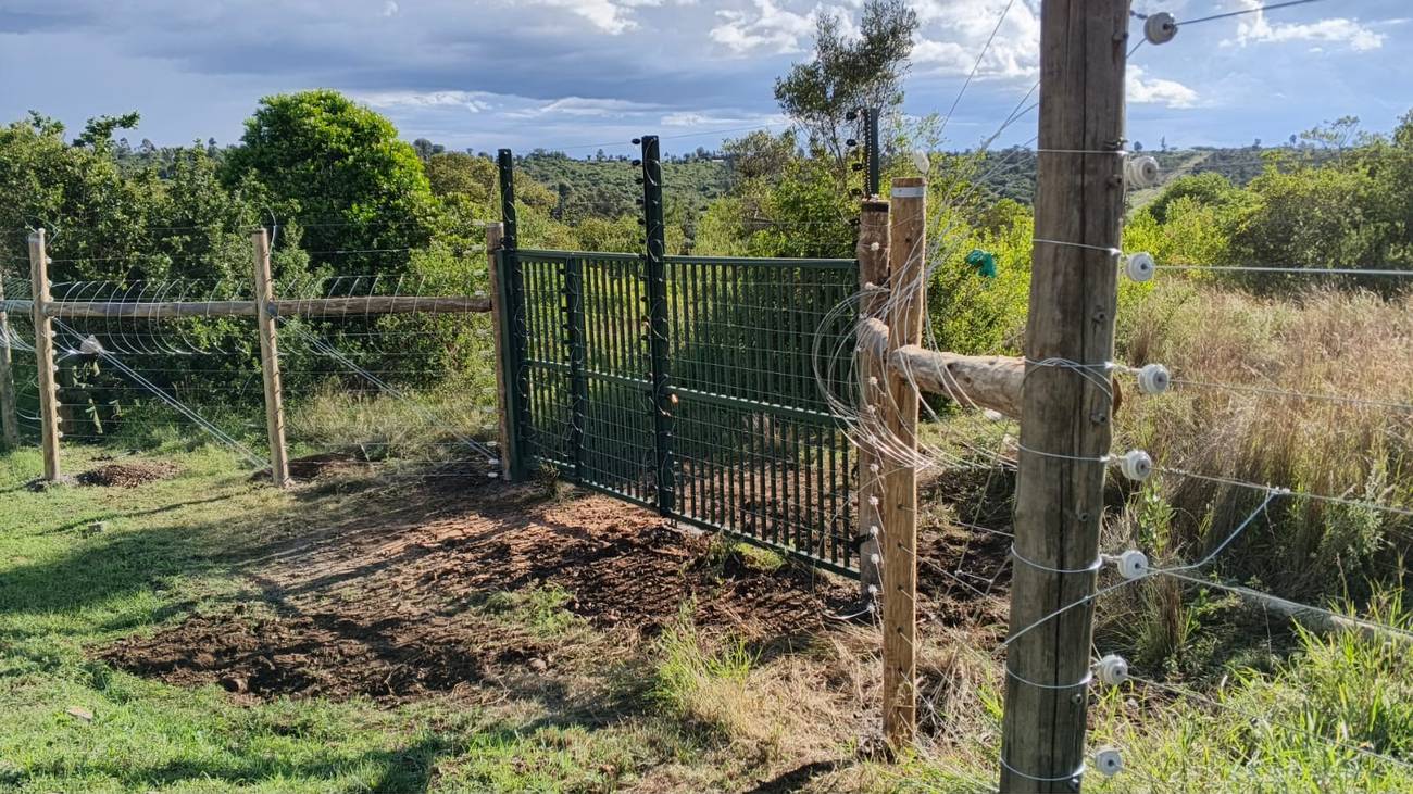 Green steel gate with electric fence strands on timber posts at a farm entrance