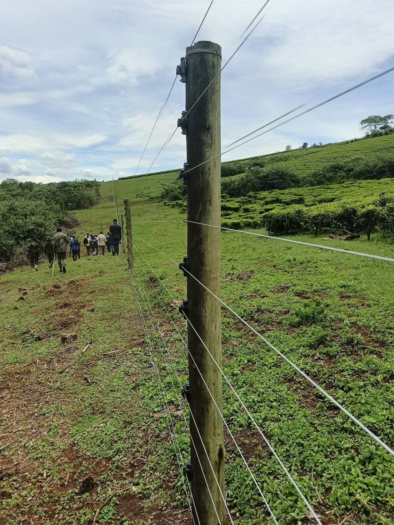 Electric fence line on timber posts across hillside farmland with a team walking the fence