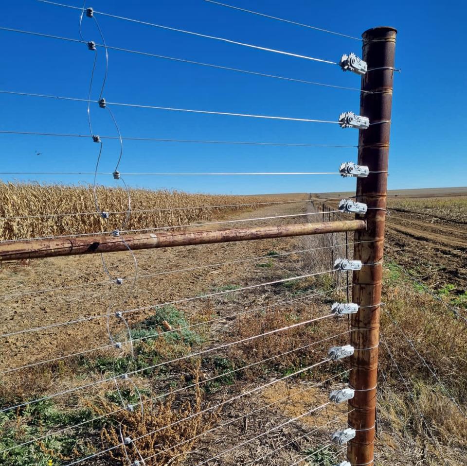 Tightlock fence wires on insulators along a post beside a maize field and farm track