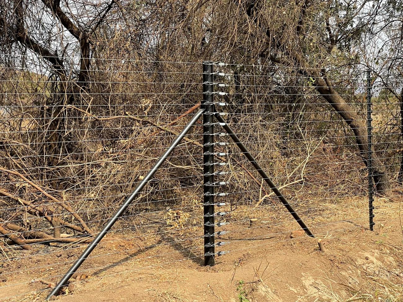 Multi-strand tightlock fence on a black steel post with angled stays through dry bush